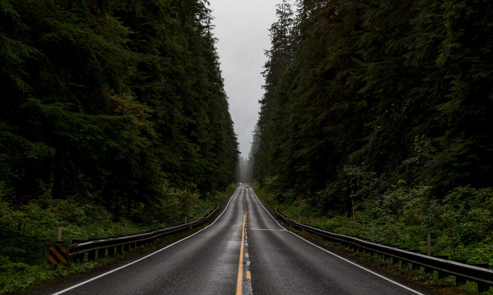 A Purposeful Website Leads Companies Through Roadways